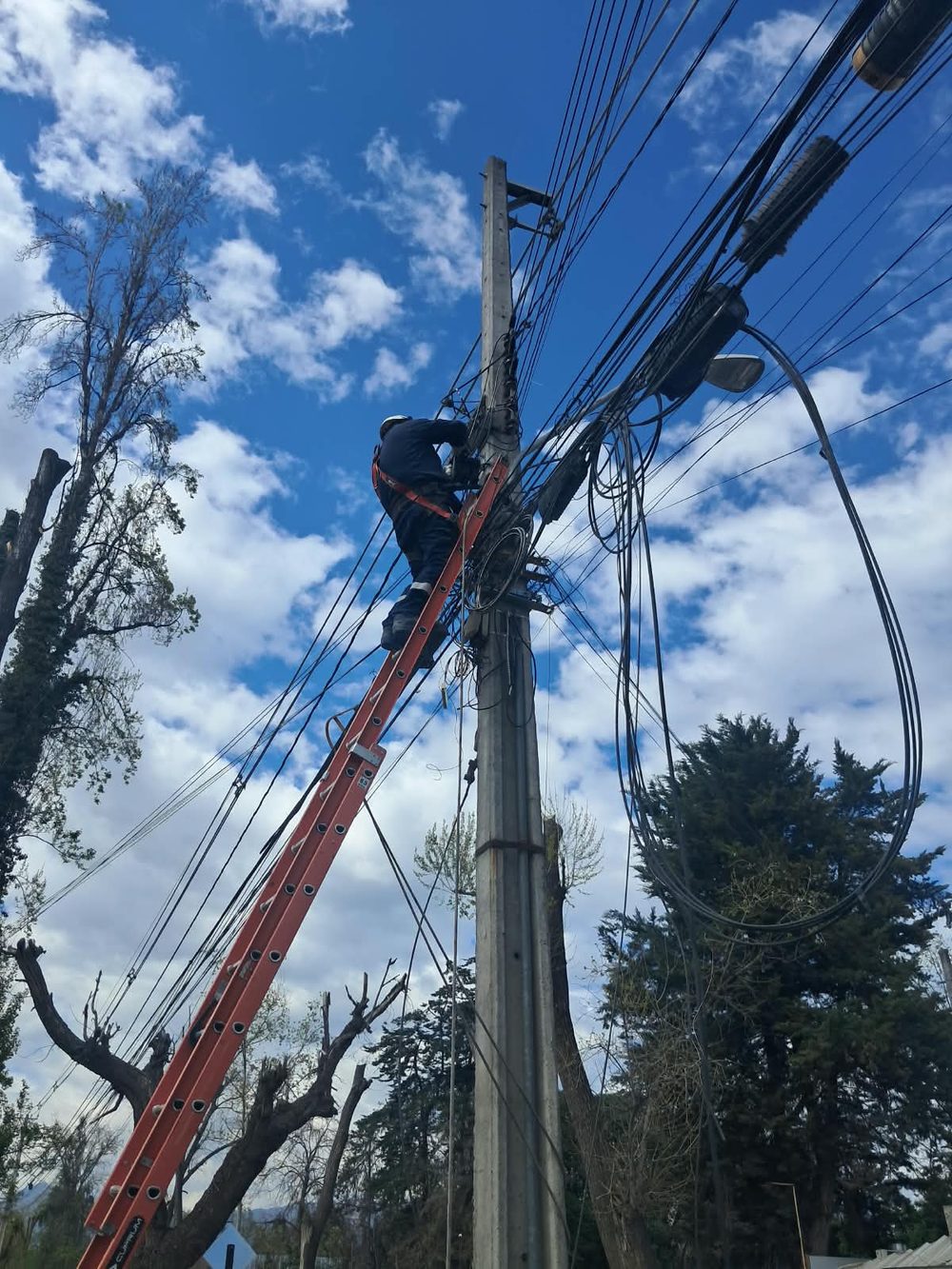 Técnico con arnés en una escalera sobre un poste con cables
